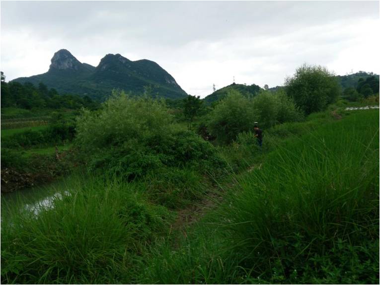 河道测量