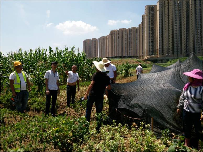 建设项目征地测量